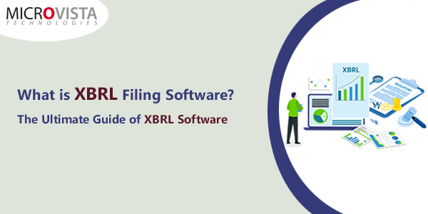 What is XBRL Filing Software? The Ultimate Guide of XBRL Software